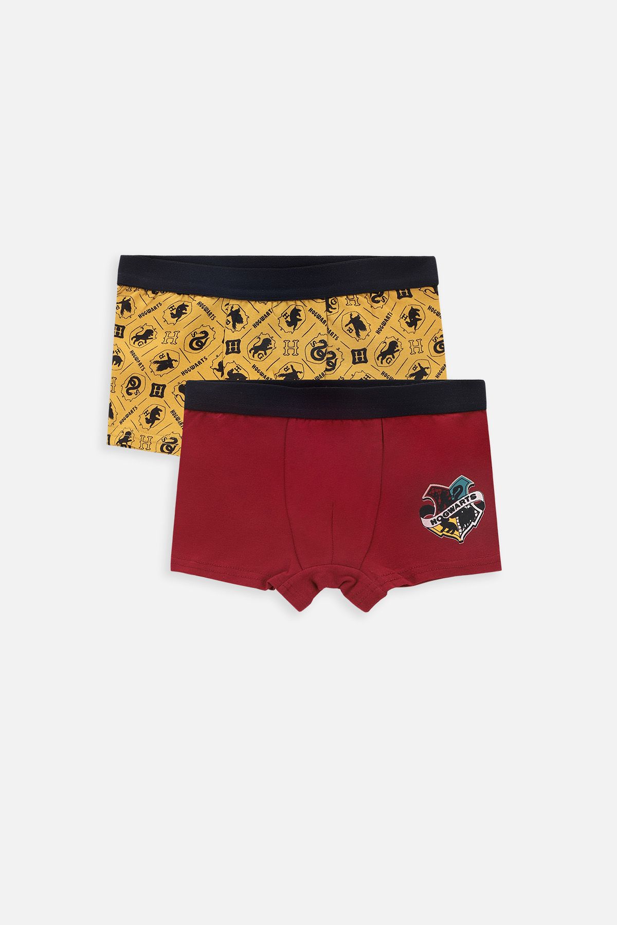 【RECTO】 SUMMER NIGHT BOXER 2色 Summer Lovers Elastic Pinstripe Boxer Shorts
