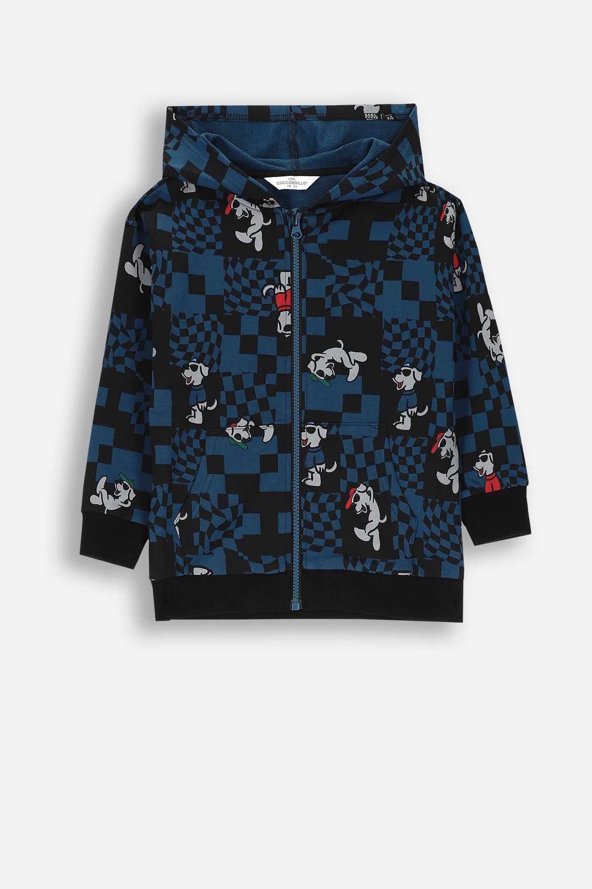Youth zipped sweatshirt with a hood and pockets - Coccodrillo