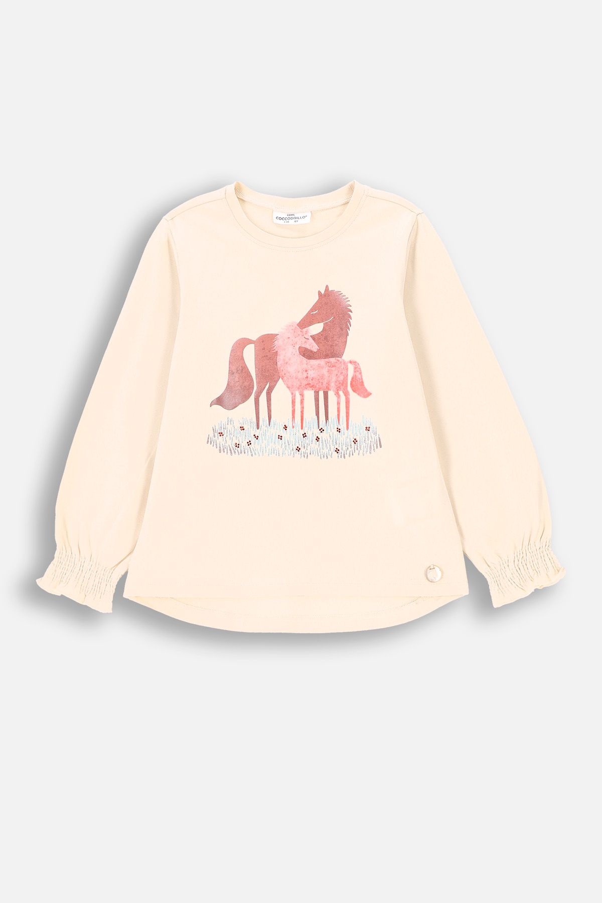♡Croco Kitty♡ Volume Sleeve Sweat Top ACRO TOKYO]