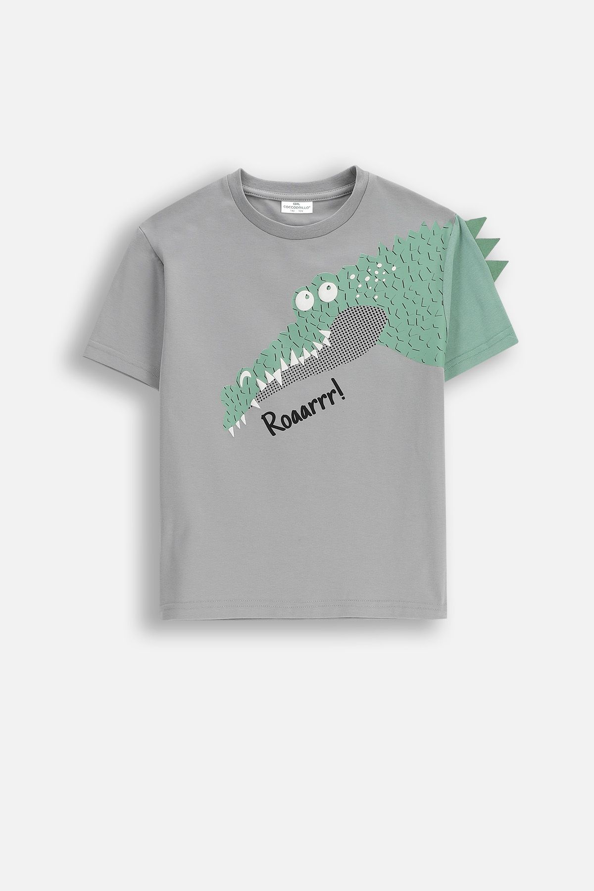 T-shirt with short sleeves Gray with skateboard print