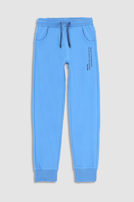 Sweatpants blue with inscriptions on the leg in the REGULAR cut