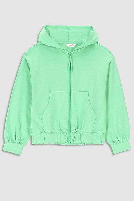 Zipped sweatshirt green with hood and pockets
