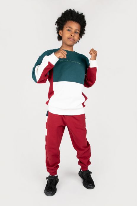 Sweatpants burgundy with pockets and other material inserts in regular cut  2