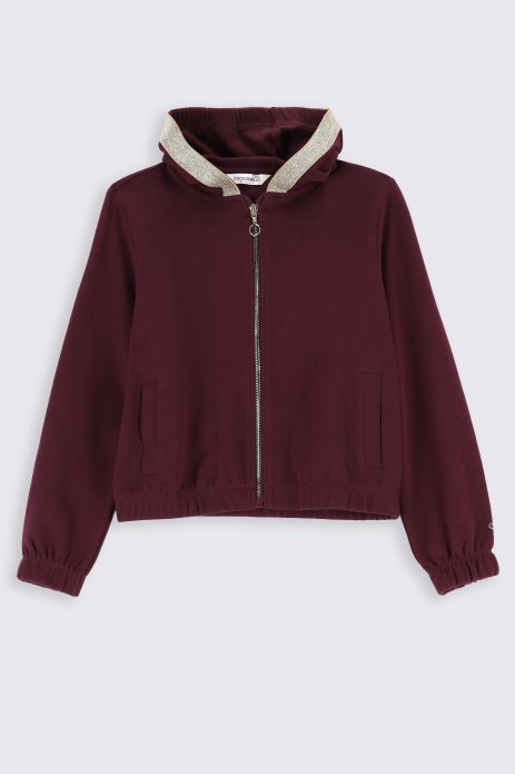 Zipped sweatshirt burgundy with hood and pockets 2