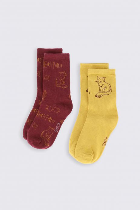 Socks multicolored 2 pack license from HARRY POTTER
