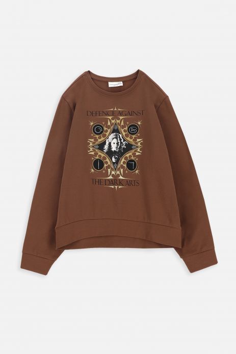 T-shirt with long sleeves brown with print, HARRY POTTER license 2