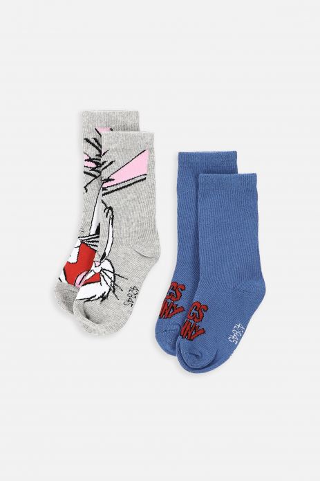 Socks multicolored 2 pack, LOONEY TUNES license