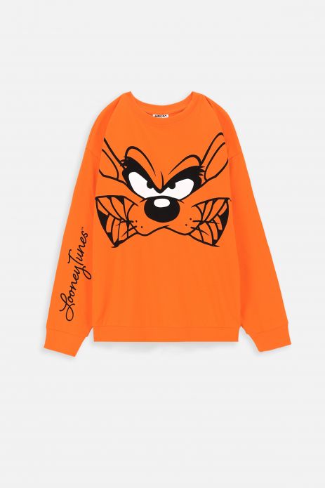 T-shirt with long sleeves LOONEY TUNES orange with print - Tasmanian Devil 2