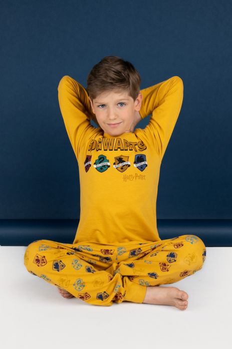 Boys pyjamas multicolored license from HARRY POTTER